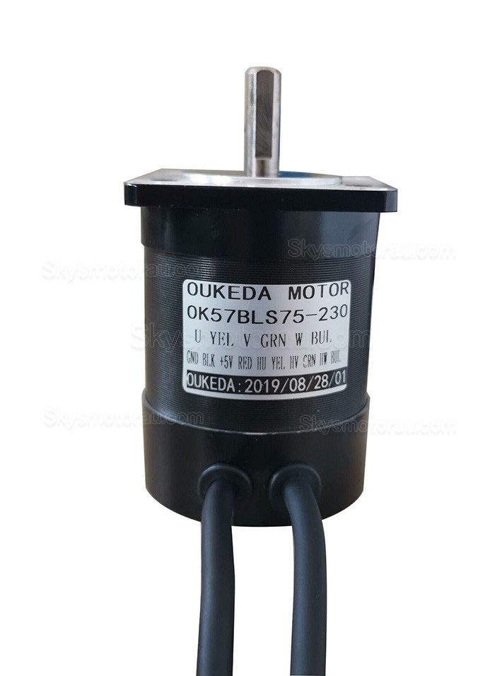 24V Brushless DC Motor BLDC Motor OK57BLS75-230 3 Phase 4 Poles 3000RPM 22Ncm 57x57mm